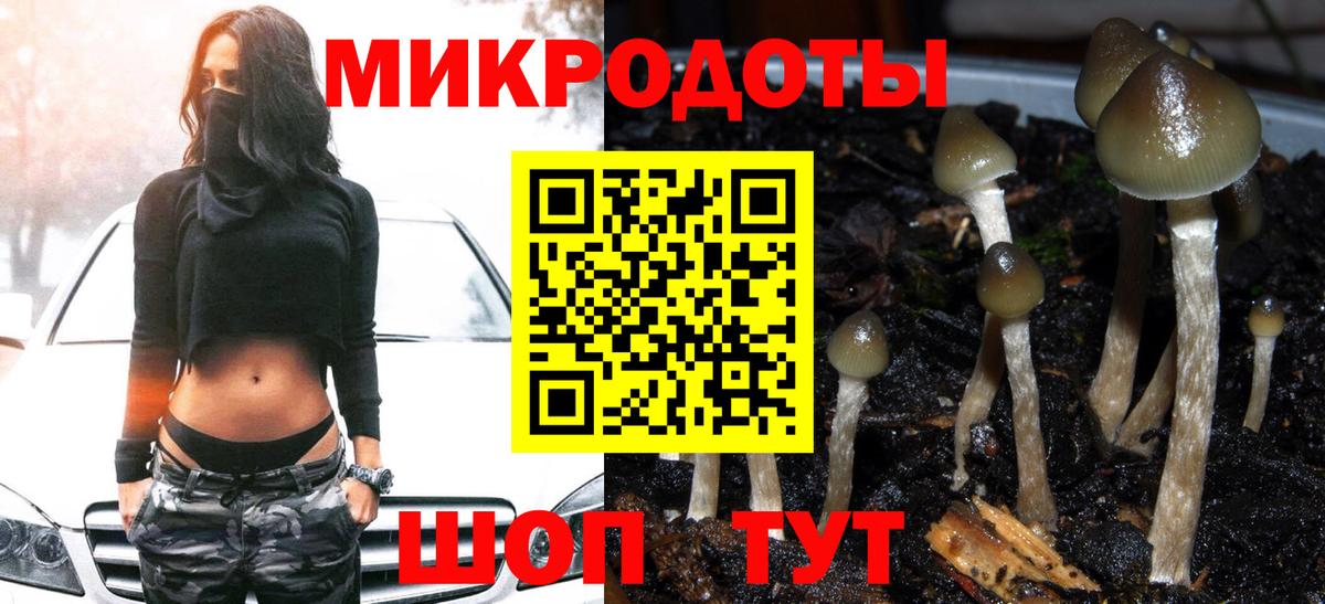 Майский  Галлюциногенные грибы мухоморы  Вход с VPN 